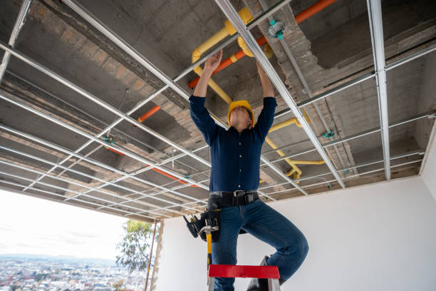 Best Plumbing Inspection Services  in Newport, SC